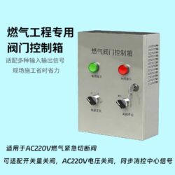 R100阀门控制箱-220V