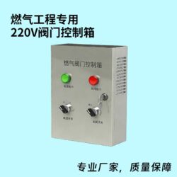R100阀门控制箱-220V