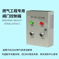 R100阀门控制箱-DC24V