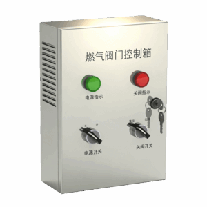 R100阀门控制箱-220V