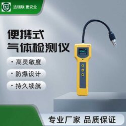 R600便携式气体检测仪
