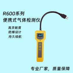 R600便携式气体检测仪