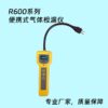 R600便携式气体检测仪