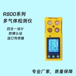 R800多气体检测仪